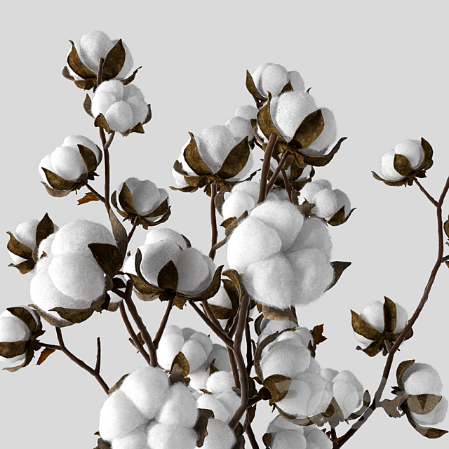 Cotton in a jug 3DSMax File - thumbnail 2