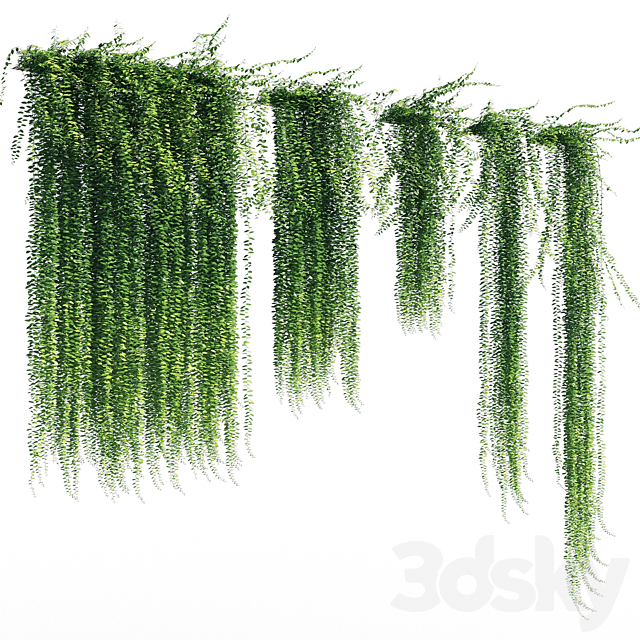 Vernonia elliptica 3DSMax File - thumbnail 1