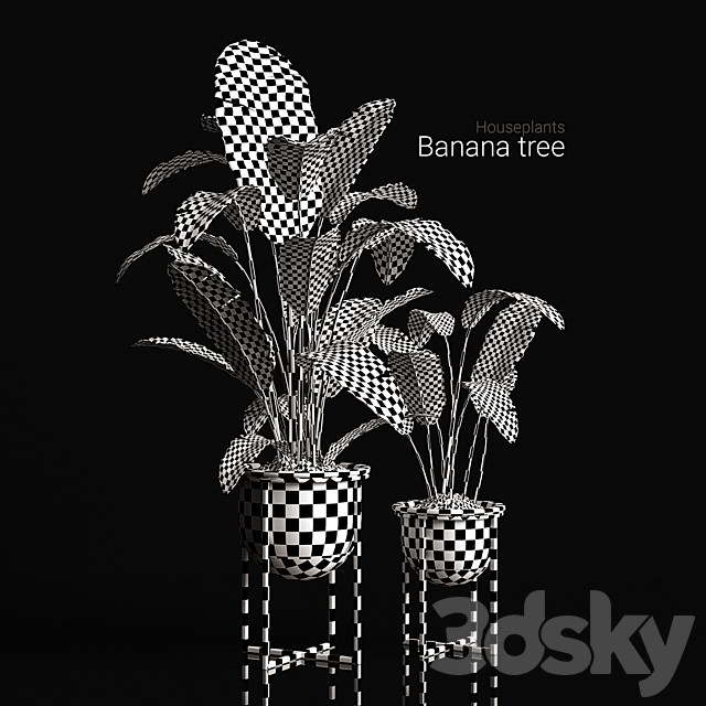 Houseplants banana tree 3DSMax File - thumbnail 2