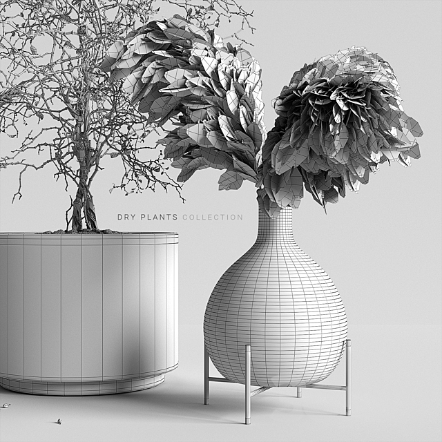 Dry plants collection 3DSMax File - thumbnail 3