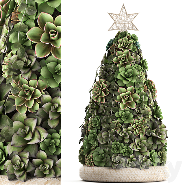 A collection of plants in a composition of succulents. Christmas tree. cake. Echeveria. decoration for the new year. Set 420. 3DSMax File - thumbnail 1
