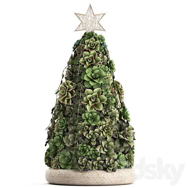A collection of plants in a composition of succulents. Christmas tree. cake. Echeveria. decoration for the new year. Set 420. 3DSMax File - thumbnail 2