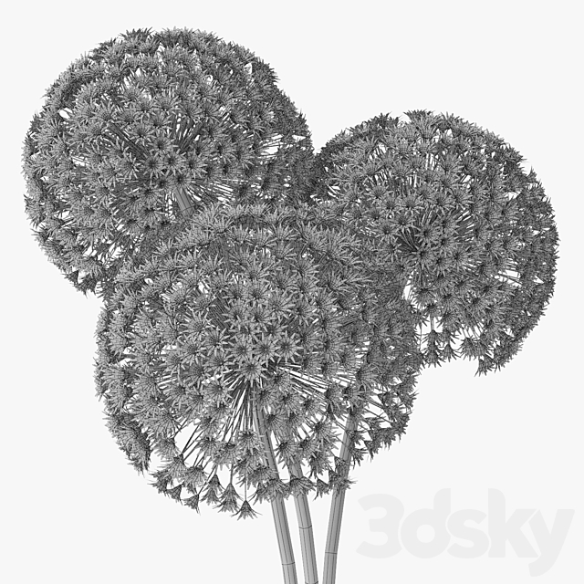 3dsky Free Download