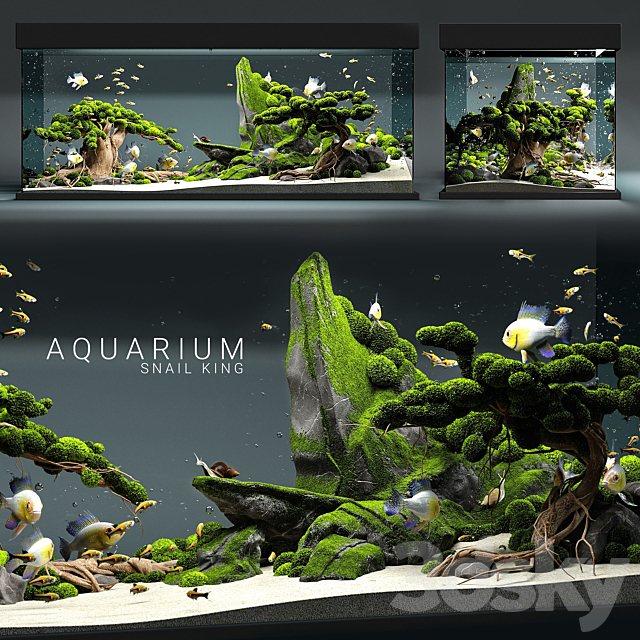 Aquarium snail king 3DSMax File - thumbnail 1
