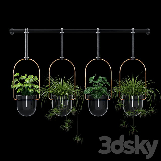 3d