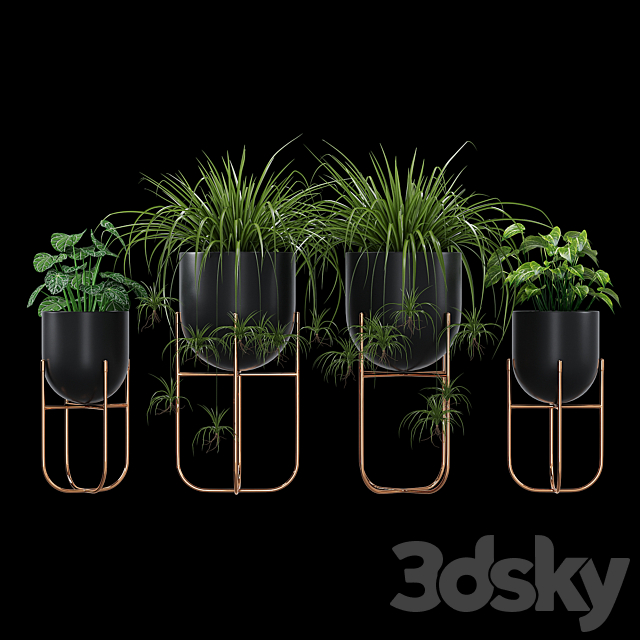 Cache 3d