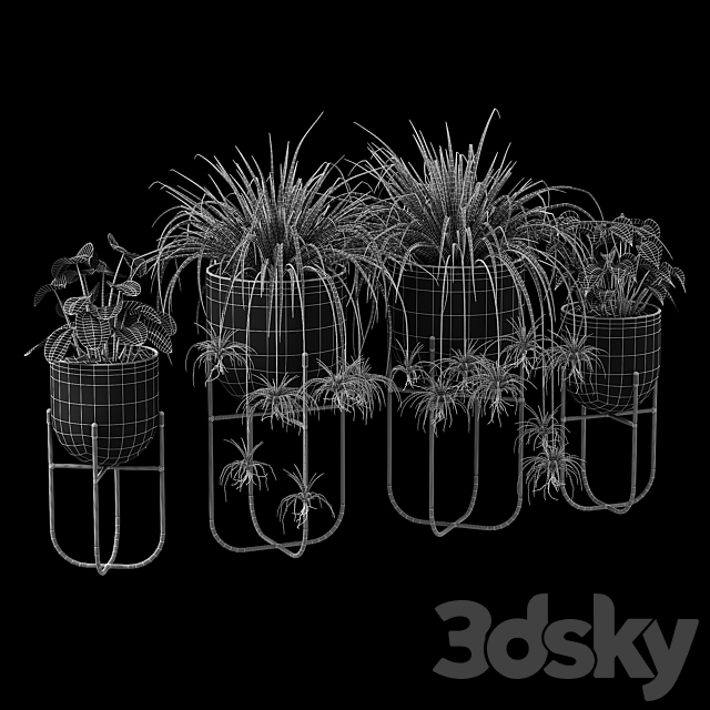 3dsky Free Download