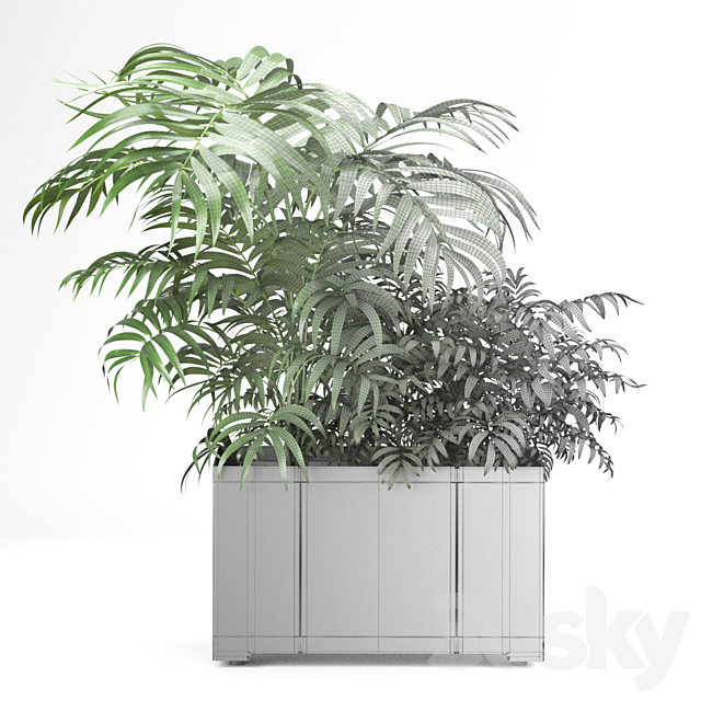 3dsky Free Download