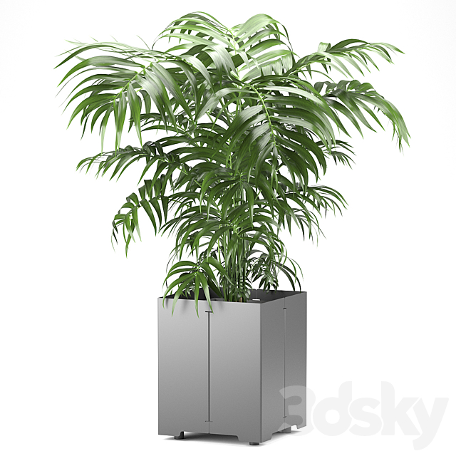 3dsky Free Download