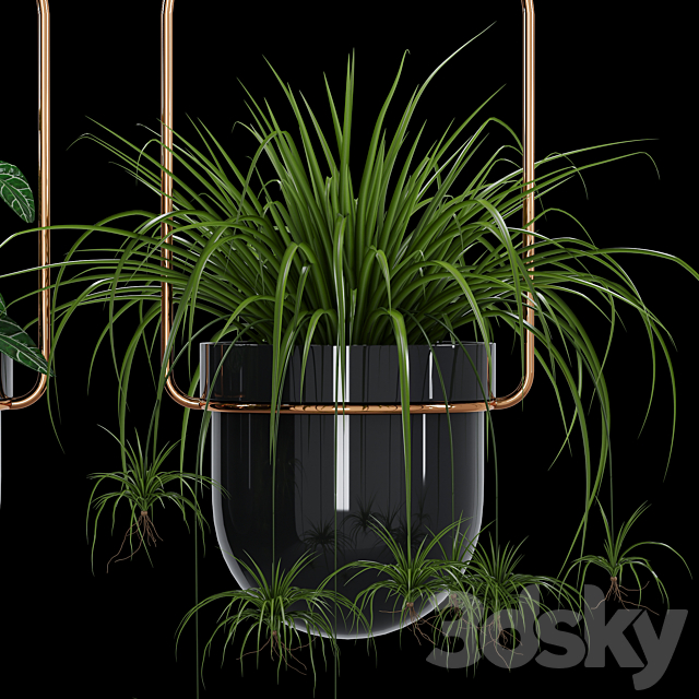 3dsky