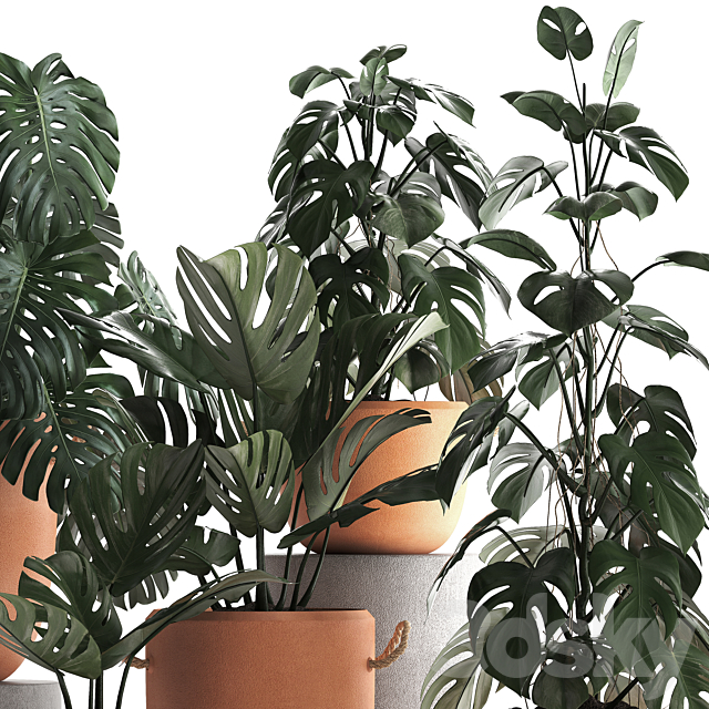 3dsky Free Download