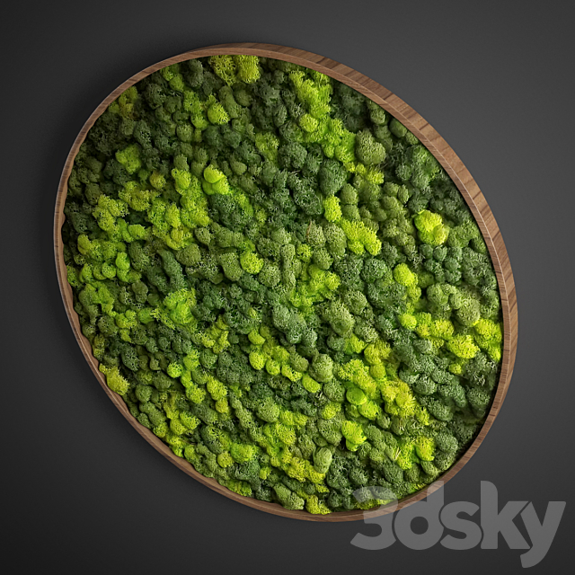 3dsky Free Download