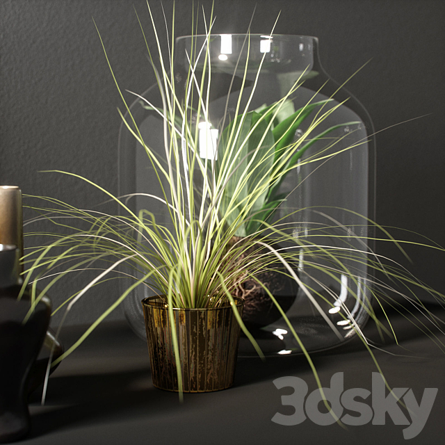 3dsky Free Download