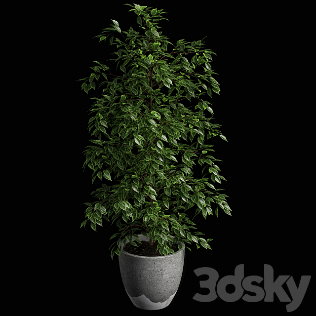3dsky Free Download