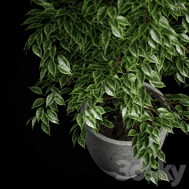 3dsky