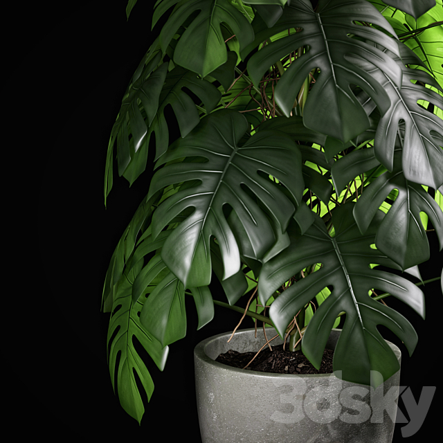 3dsky Free Download