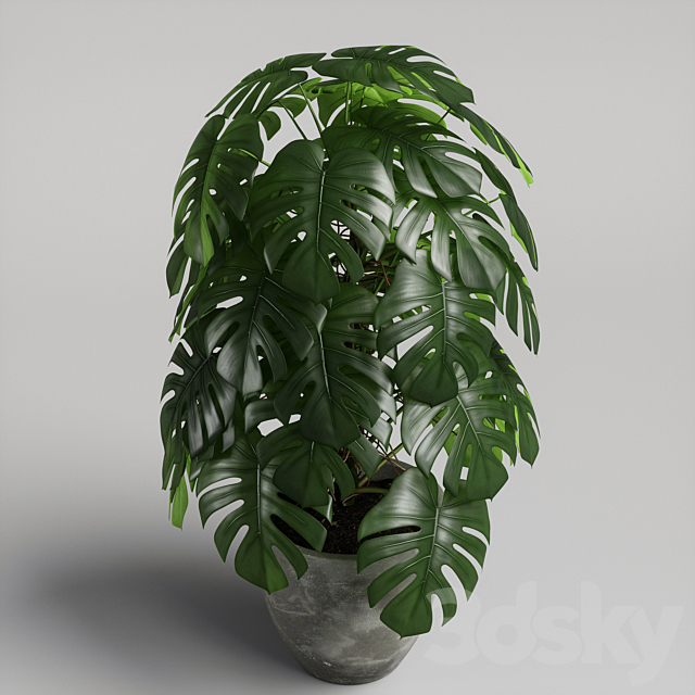 3dsky