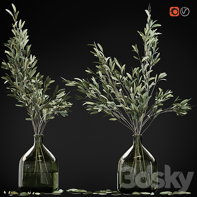 Olive stems in glass vase with water 3DSMax File - thumbnail 2