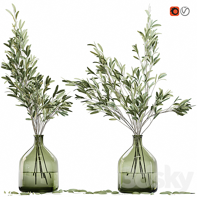 Olive stems in glass vase with water 3DSMax File - thumbnail 1