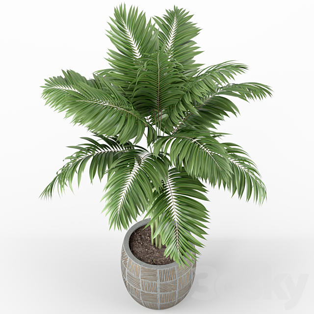 Plants collection 220 3d