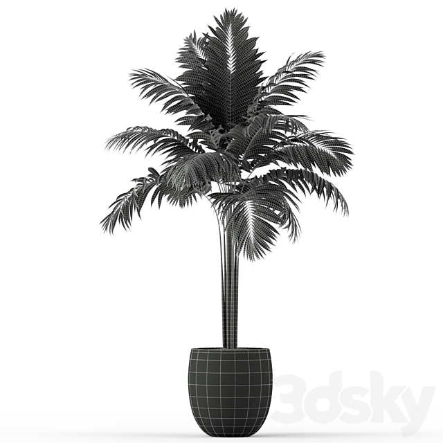 3dsky Free Download