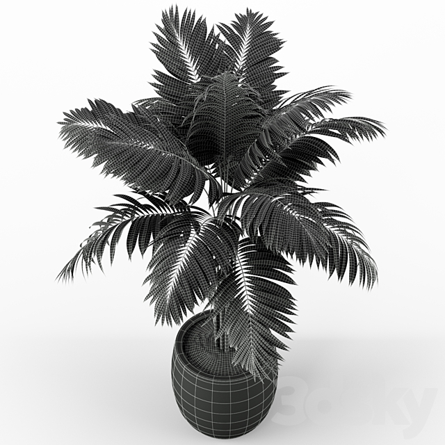 Plants collection 220 3dsky