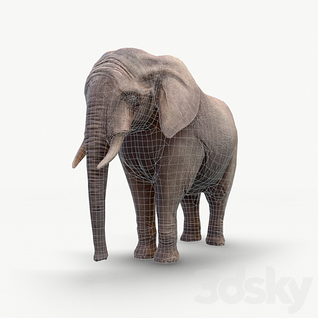 Elephant _ Elephant 3DSMax File - thumbnail 3
