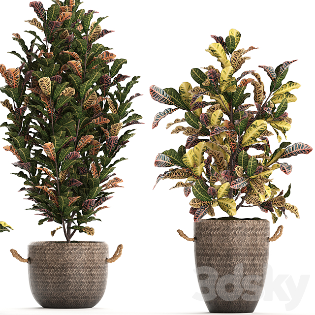 3dsky Free Download