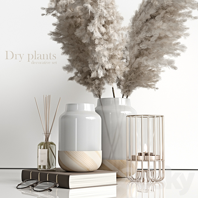Decorative set with dry plants 4 3d