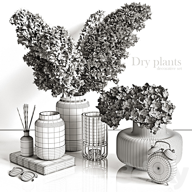 Decorative set with dry plants 4 3dsky