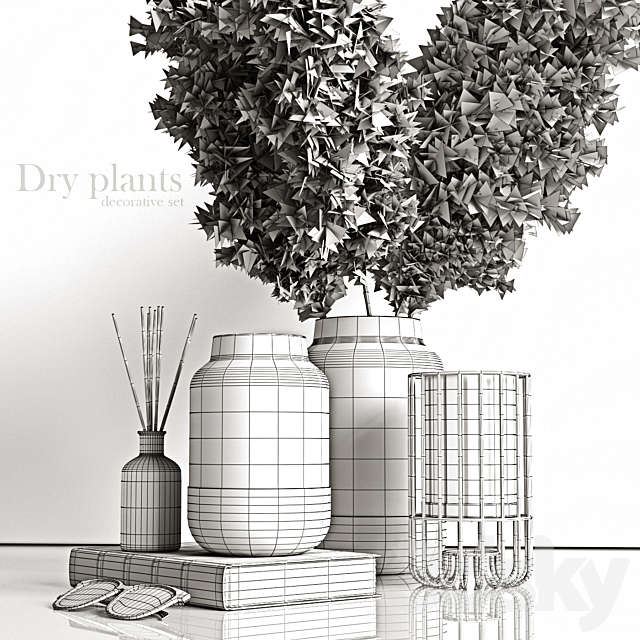 Decorative set with dry plants 4 3dskyfree