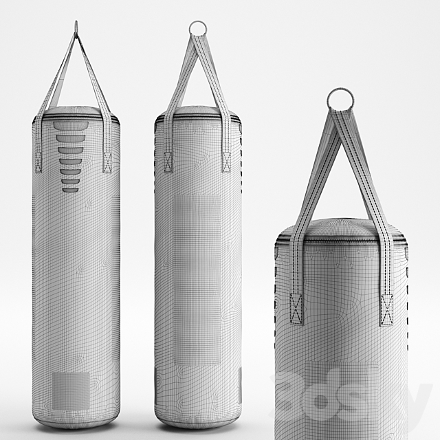 CENTURY Brave hanging Boxing bag 3d