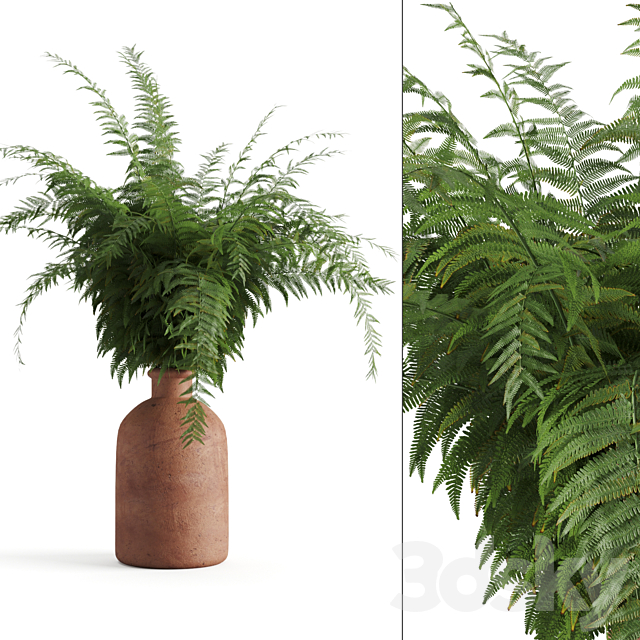 Fern in a clay vase 3DSMax File - thumbnail 1