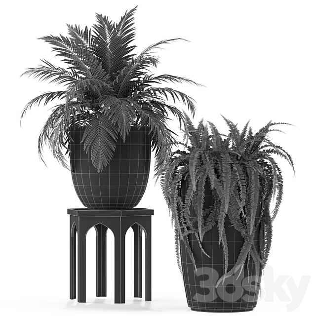 3dsky Free Download