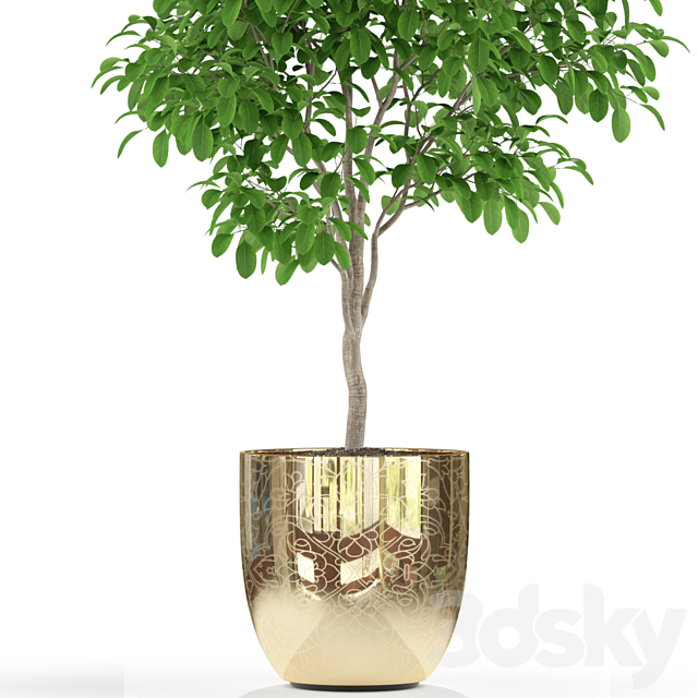 3dsky