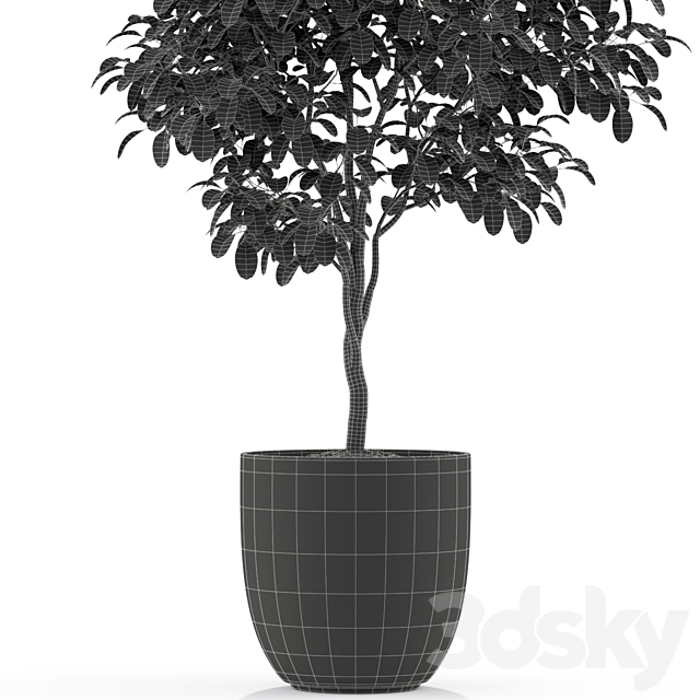 3dskyfree