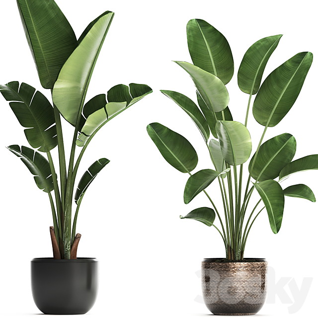 3dsky Free Download