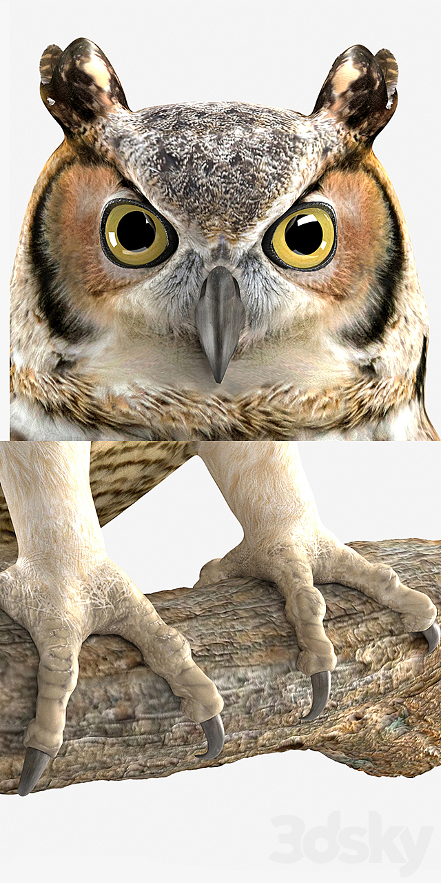 3dsky Free Download