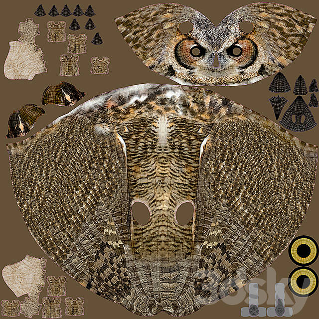 Owl 3dsky