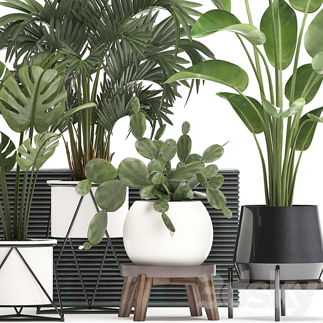 3dsky Free Download