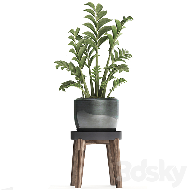 3dsky Free Download