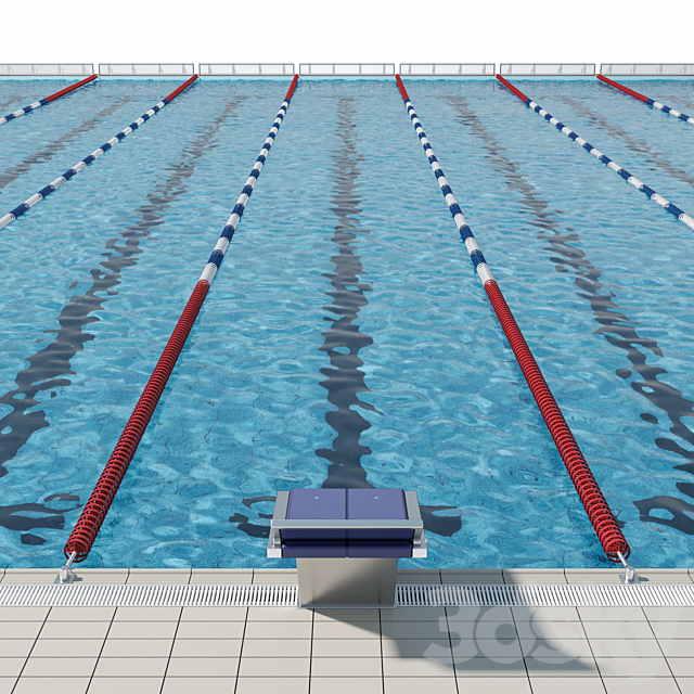 Olympic-size competition swimming pool 3DSMax File - thumbnail 2