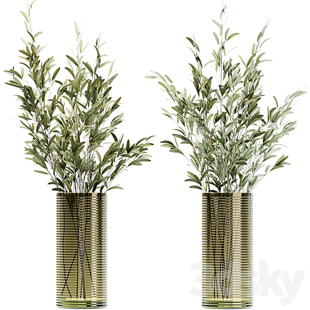 Olive stems in simple glass ribbed vase 3DSMax File - thumbnail 1
