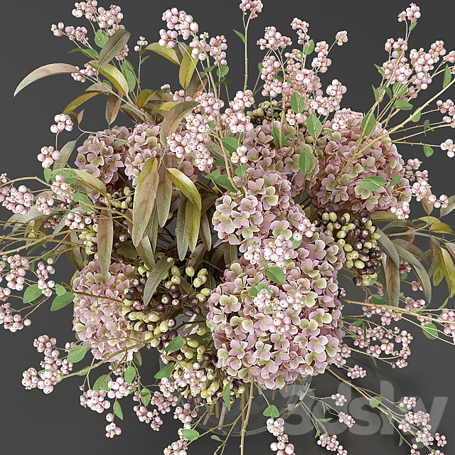 Bouquet of snowberry and hydrangea 3d