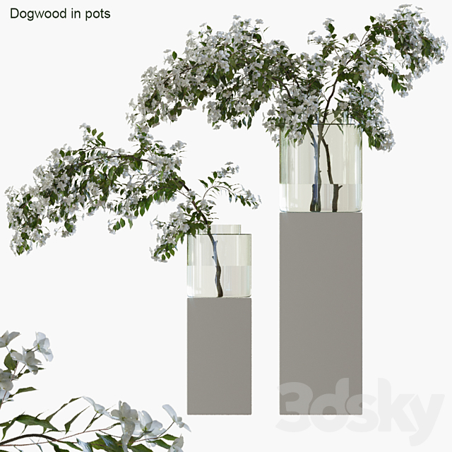 Branches in vases 35 3DSMax File - thumbnail 1
