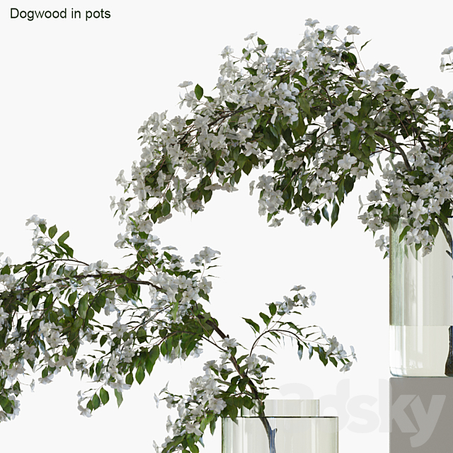 Branches in vases 35 3DSMax File - thumbnail 2