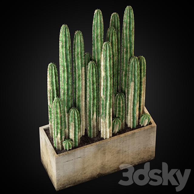 Plants collection 260 3d