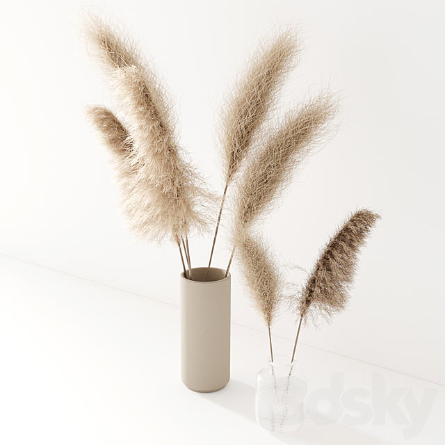 Set of pampas in vase 3d