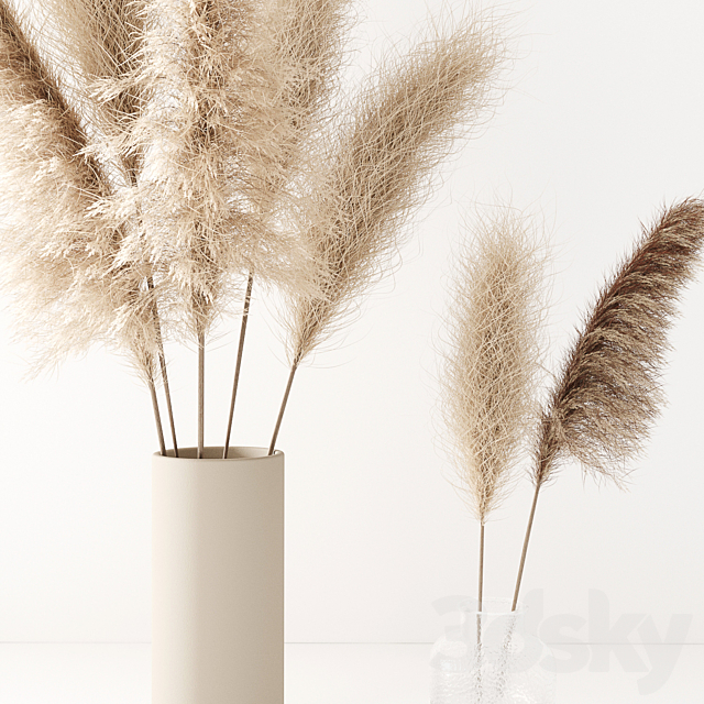 Set of pampas in vase 3dsky