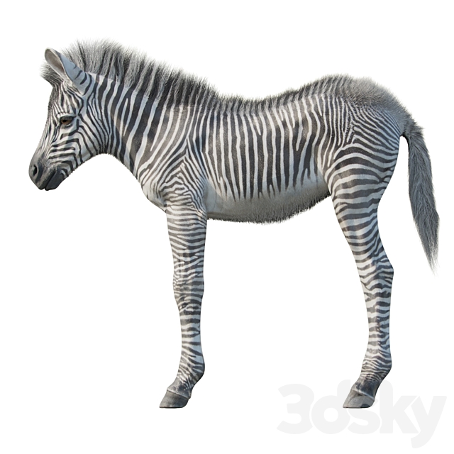 3dsky Free Download